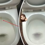 یو محصول به تشناب ته روښانه کړي: څنګه په 15