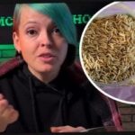 څنګه شنه سرې غوره کړئ او خپل ګاونډیان د حاصلاتو