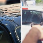 مرغۍ به نور په موټرو کې خندا نه کوي: دلته هغه څه دي چې تاسو ورته اړتیا لرئ مرغۍ به نور په موټرو کې خندا نه کوي: دلته