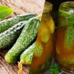 د ژمي لپاره د مرچ کیچپ کې د ککریو پوښلو